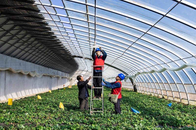 开元网站登录入口-(中国)官方网站党组召开2024年度二级单位党委书记抓基层党建工作述职暨述责述廉评议会议